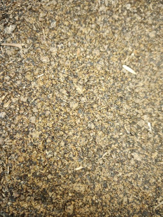 DDGS Kukurydziany, Śruta Sojowa, Śruta Rzepakowa