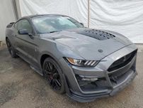 Бампер Ford Mustang V VI VII Запчастини Ford Mustang Форд Мустанг