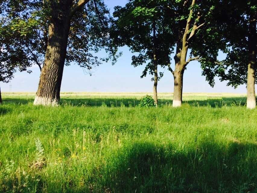 Фасадна ділянка 1 га в с. Барахти