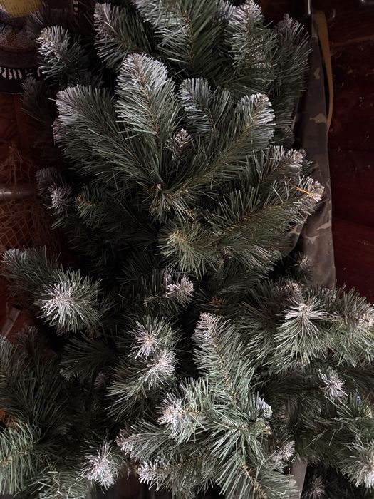 Продам ядинку засніжену  180 см