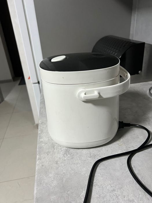 Автомобільна мультиварка 12/24 v