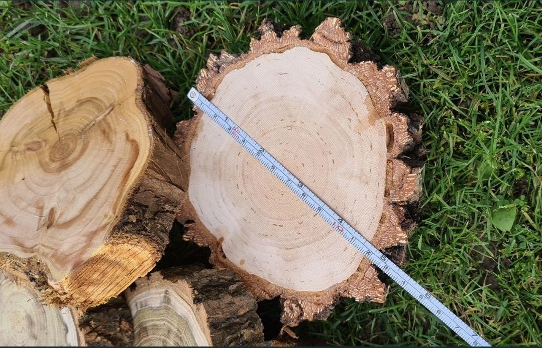 Krążki drewniane 10 cm
