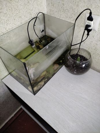 Аквариум с рыбками (10 литров)
