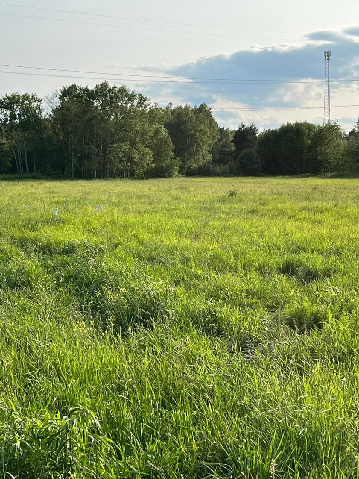 Działka budowlana 1300 m WÓLKA RADZYMIŃSKA gm. Nieporęt