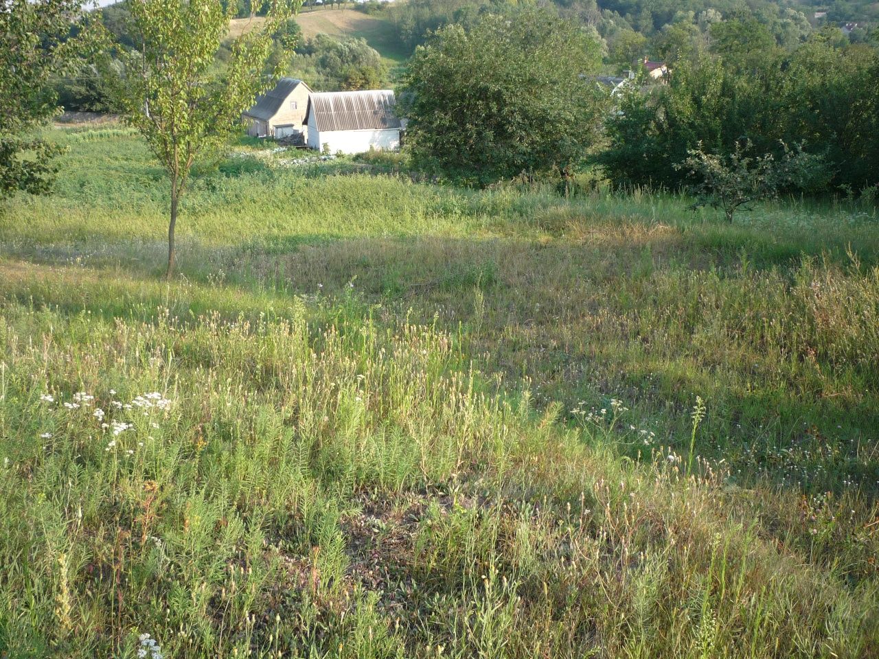 Продам земельну ділянку.