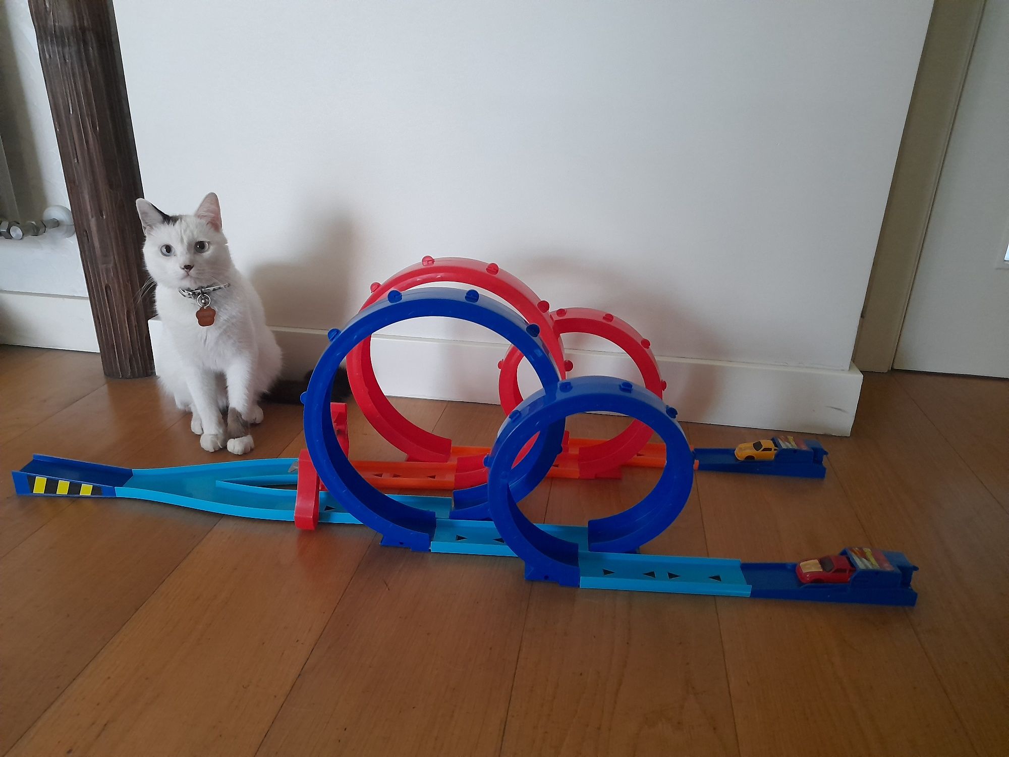 Pista dupla com lançador- Speed Wheels