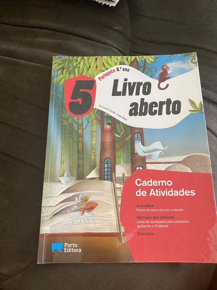 Livros de fichas 5.º ano