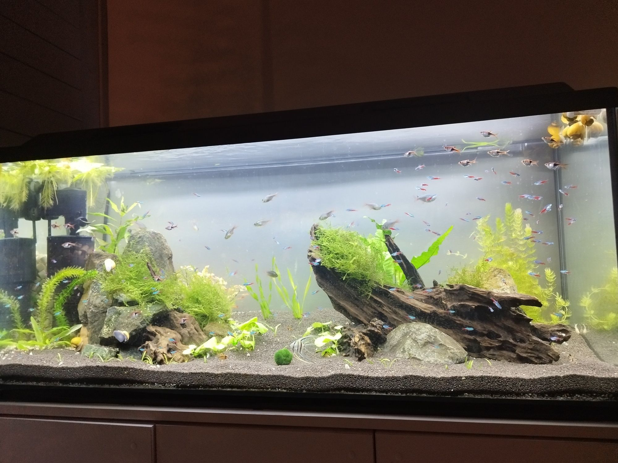 Pokrywa 120x40 z oświetleniem WRGB TC420 zasilacz wschód zachód