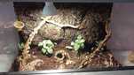 Terrarium szklane 40x30x30
