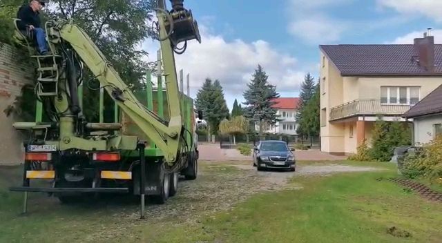 Hds do drewna Loglift żuraw leśny