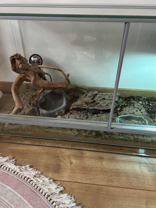 Terrarium dla żółwia