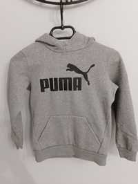 Bluza chłopięca Puma