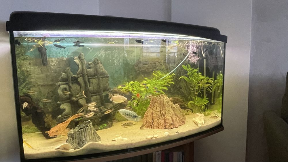 Akwarium 100 x50x30