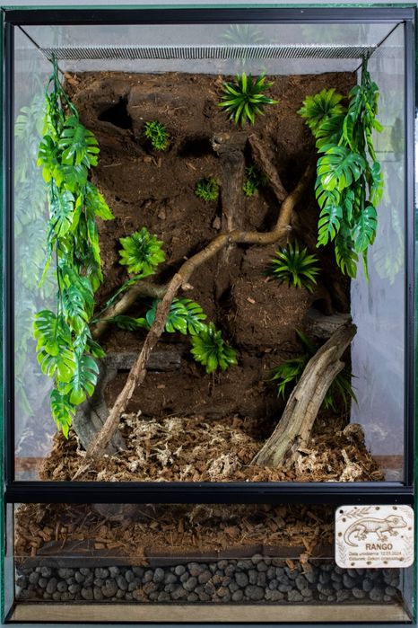 Terrarium 45x45x60 dla gekona orzesionego