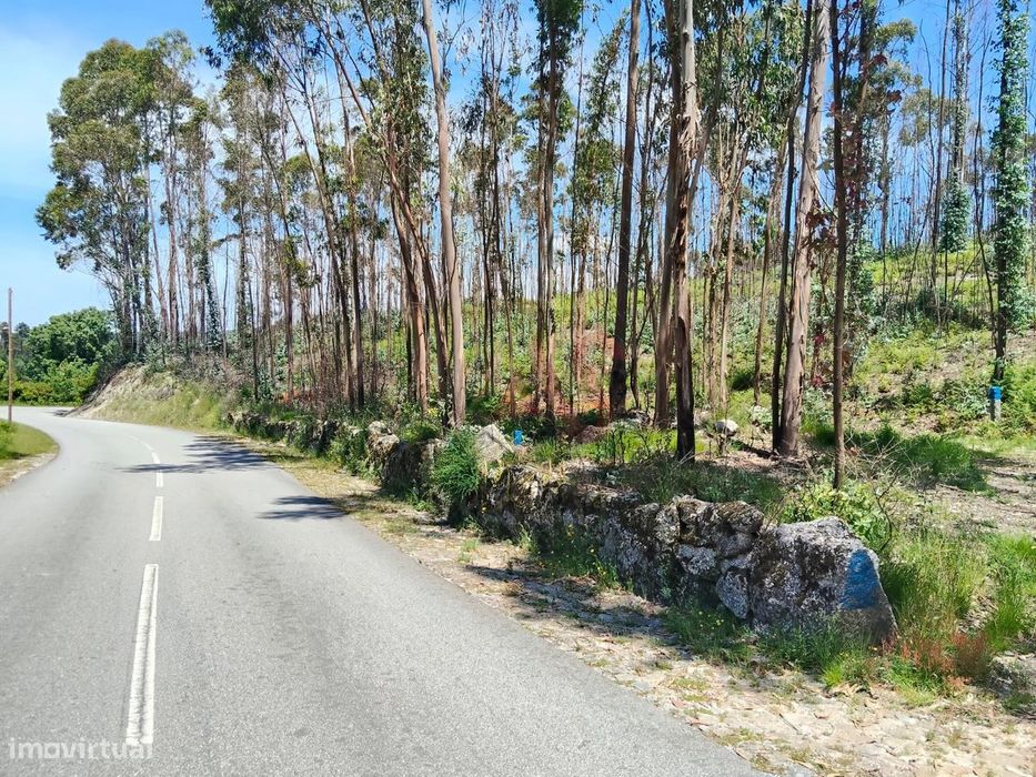 Terreno Rústico com 19.105,96 m² em Seidões, Fafe