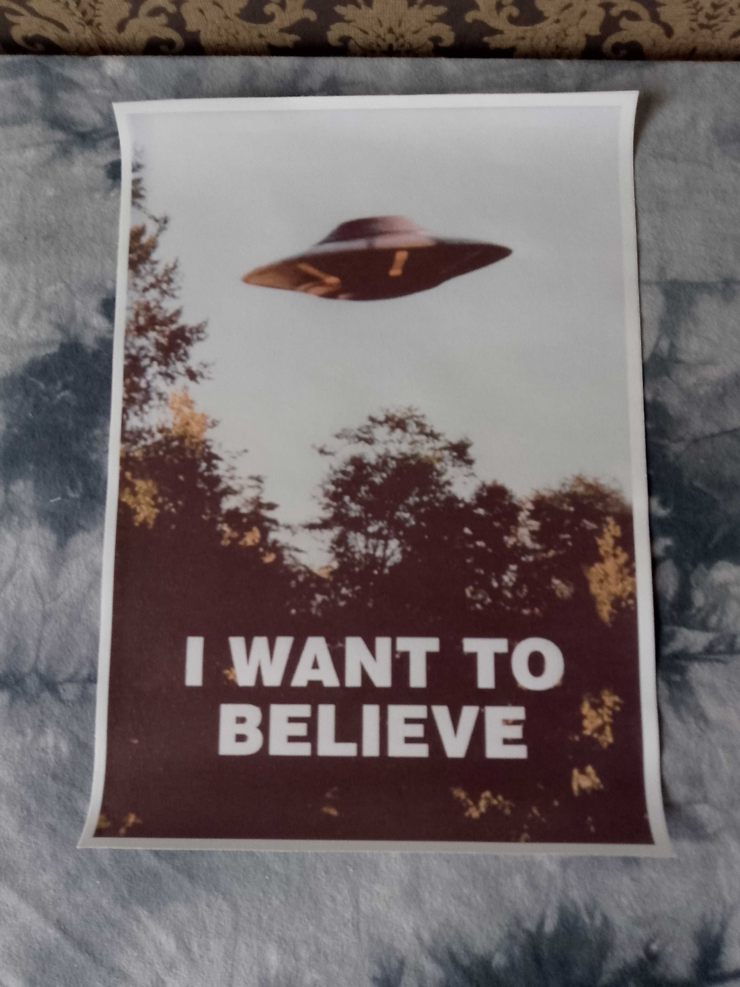Plakat z archiwum x i want to believe