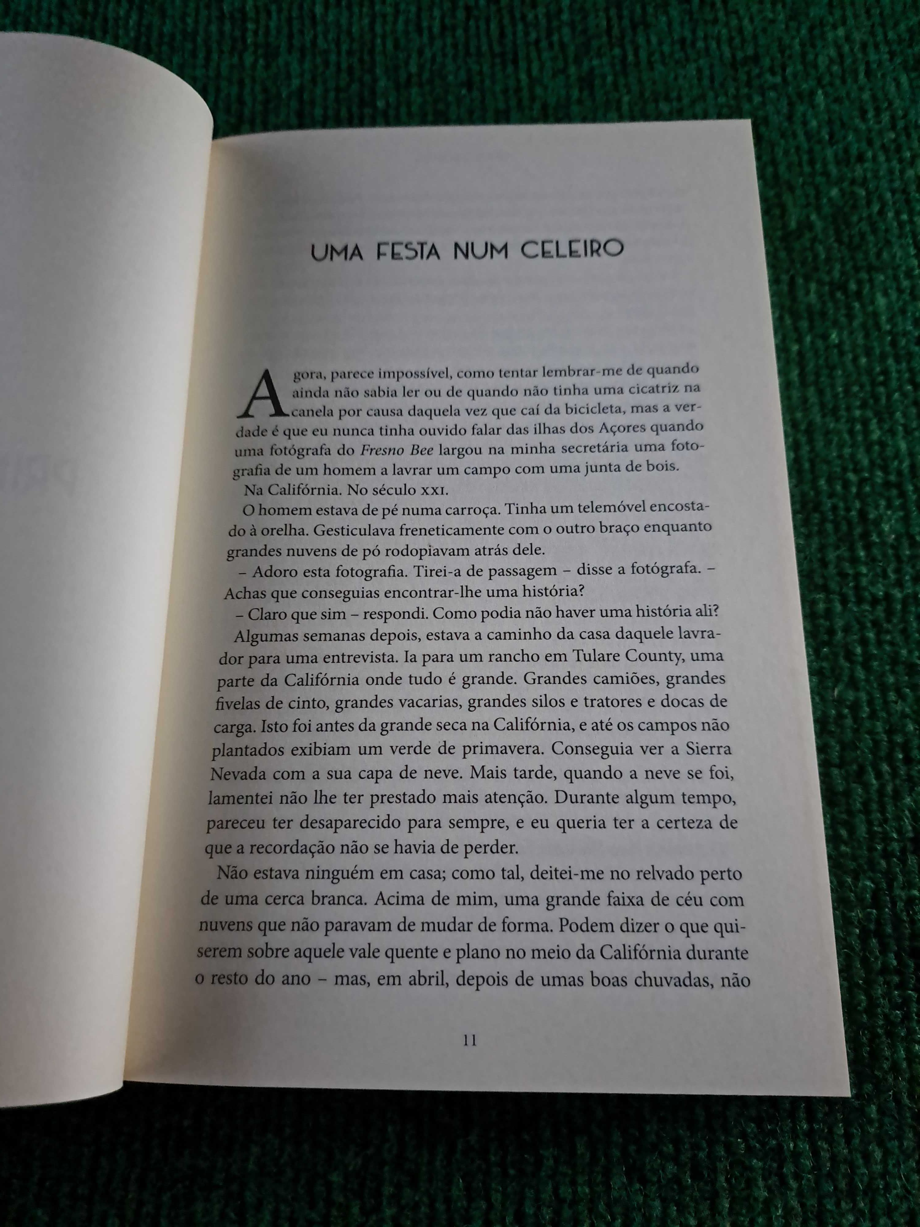 A Décima Ilha - Diana Marcum