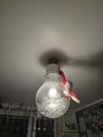 Lampa Sufitowa Żarówka