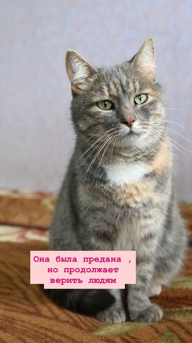 Грустная Мэри из приюта