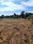Terreno plano misto 12.880 m2 Rego da Murta, Ferreira do Zêzere