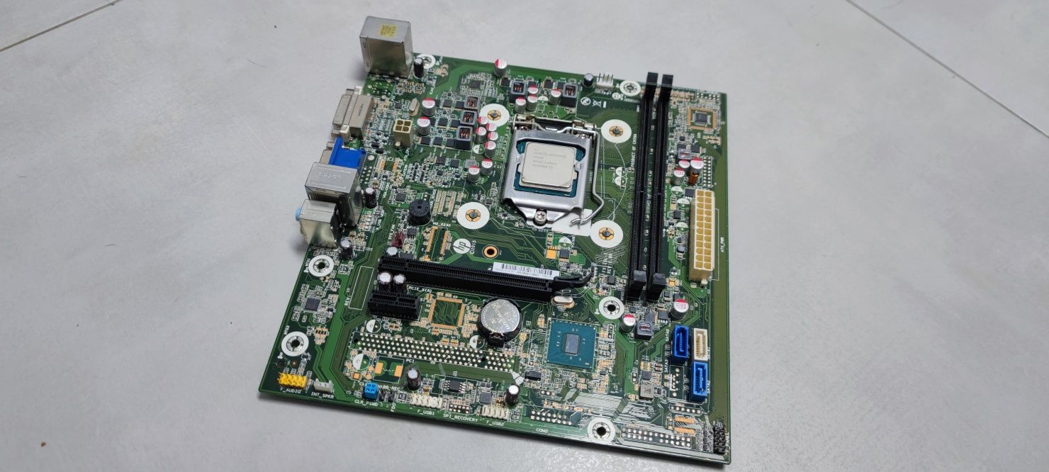 Motherboard HP (LGA 1151)