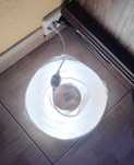 Zestaw taśma Neon 10m 3000K 230V