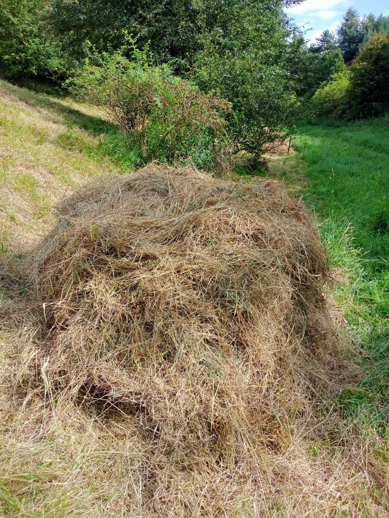 Siano z użytków ekologicznych