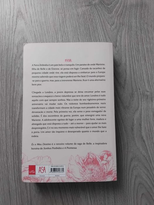 Livro És o meu destino de Lesley Pearse