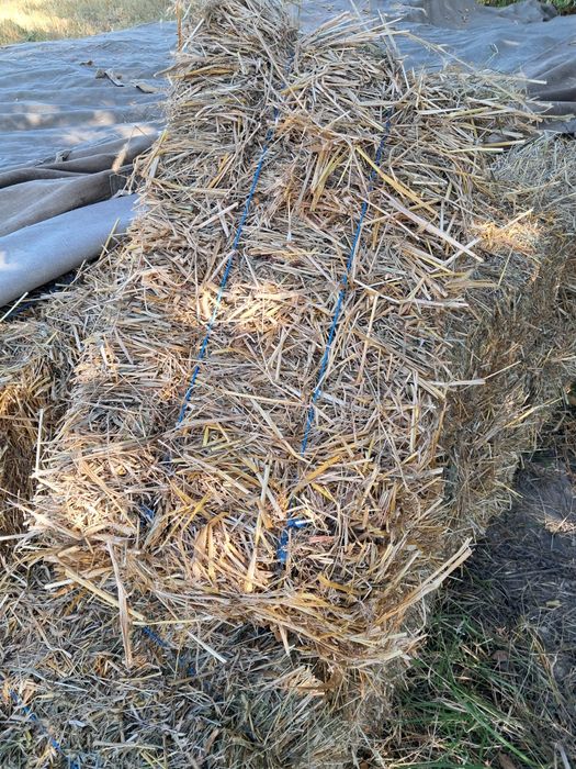 Овсяна солома в тюках!