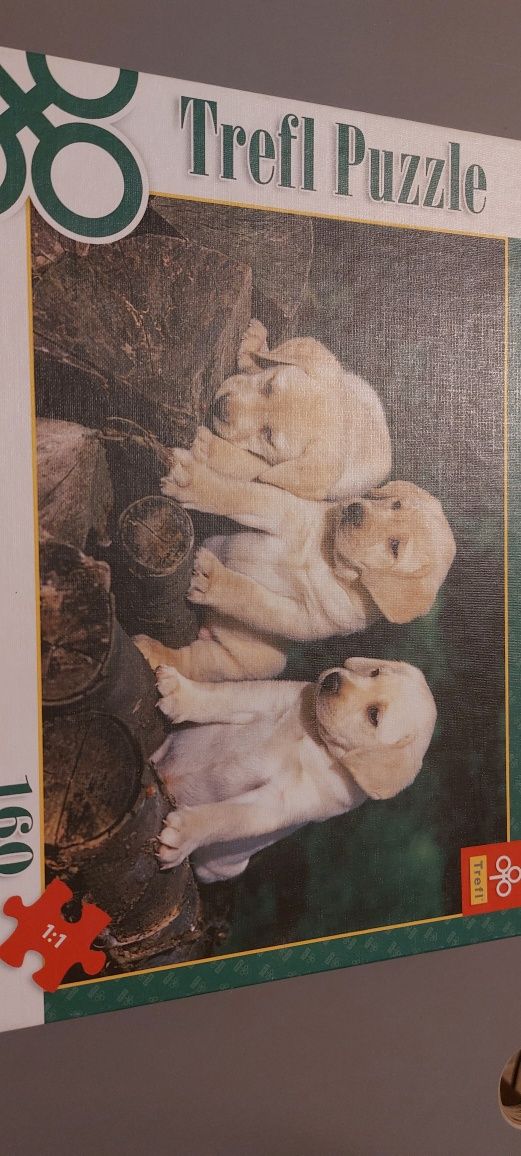 Pięć pudełek puzzli dla dużych i małych