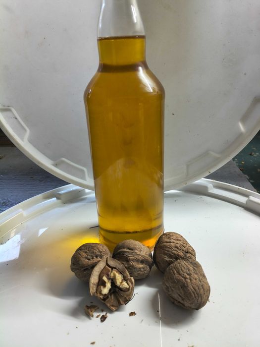 Olej rzepakowy, lniany, z pestek dyni, z orzecha włoskiego