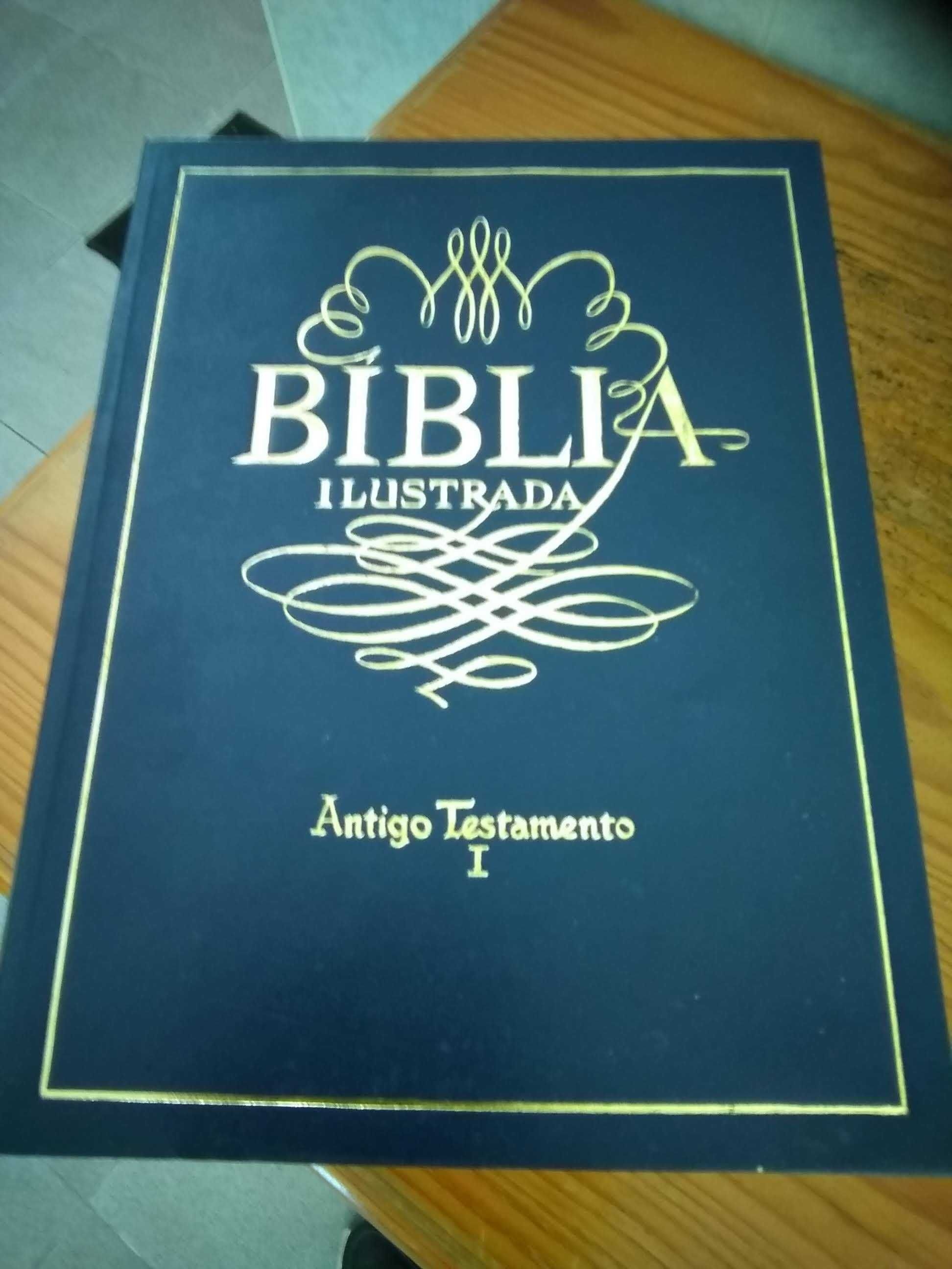 A Bíblia Ilustrada