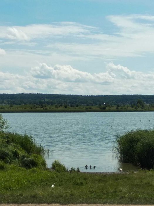 Оренда земельної ділянки водного фонду, площею 58,4651 га.