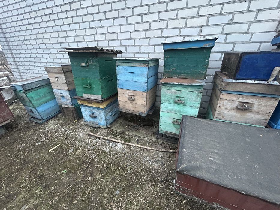 Продам вулики лежаки і корпусні рамки суш та медові