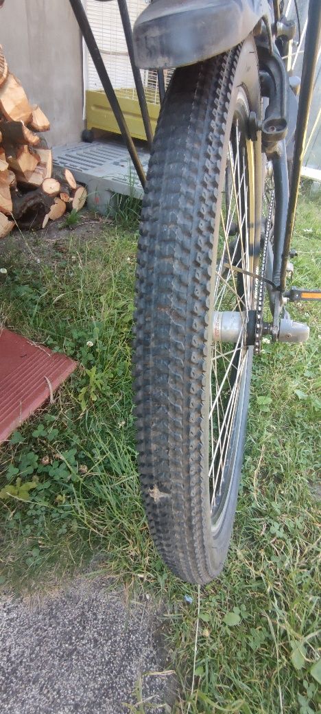 Rower Batavus Snake 24