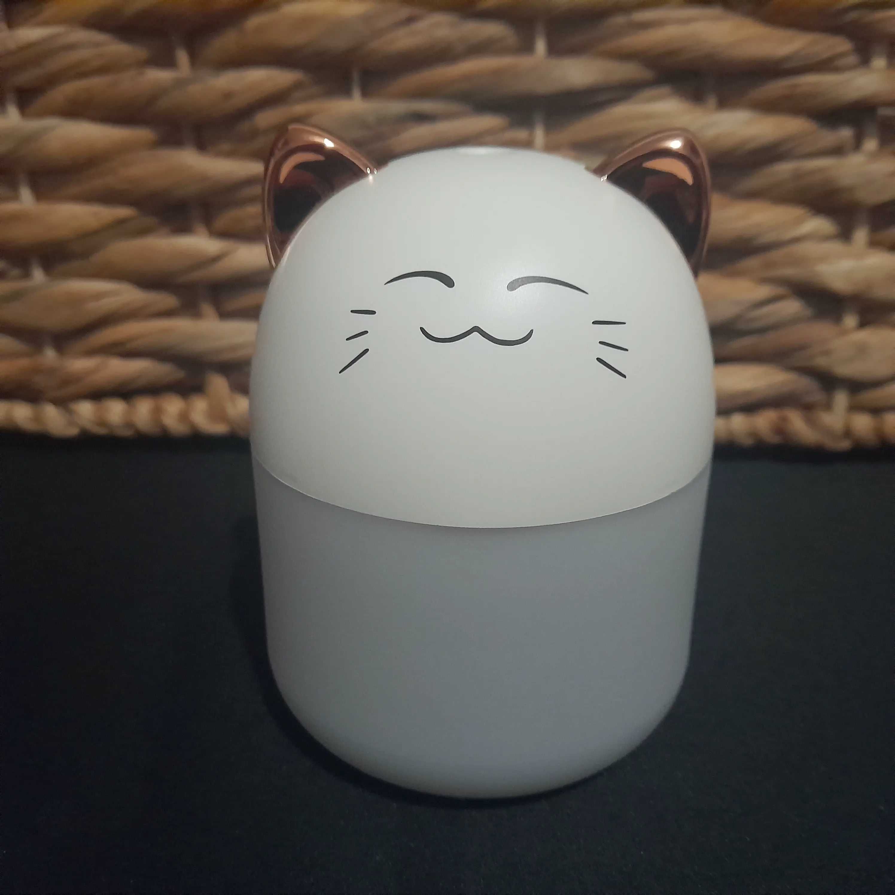 Mini Humidificador: Transforme Seu Espaço com Conforto e Saúde!