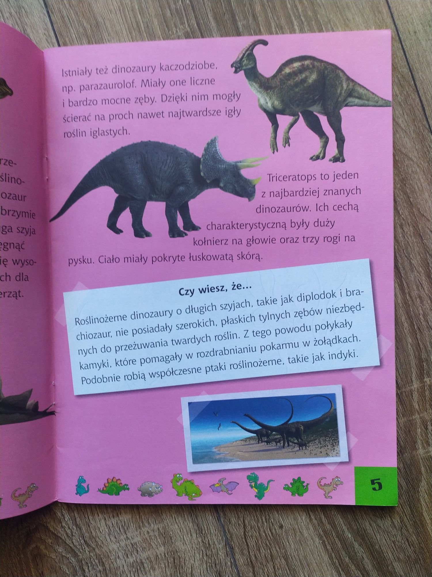 Dinozaury pracowity przedszkolak książka kolorowanka