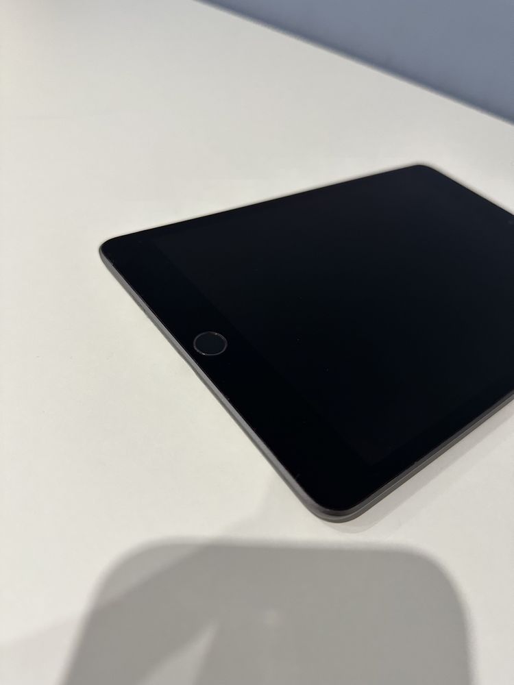 iPad mini 5 64gb Wi-Fi Gray (39)