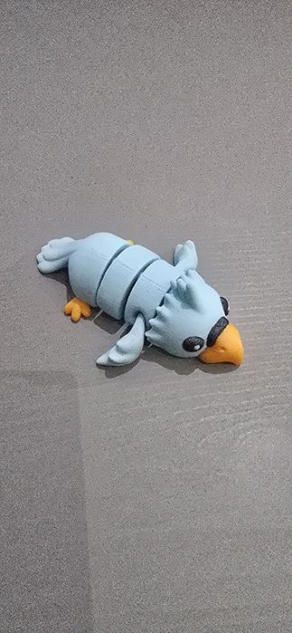 Magnes Papuga 3D - urocza i wyjątkowa!