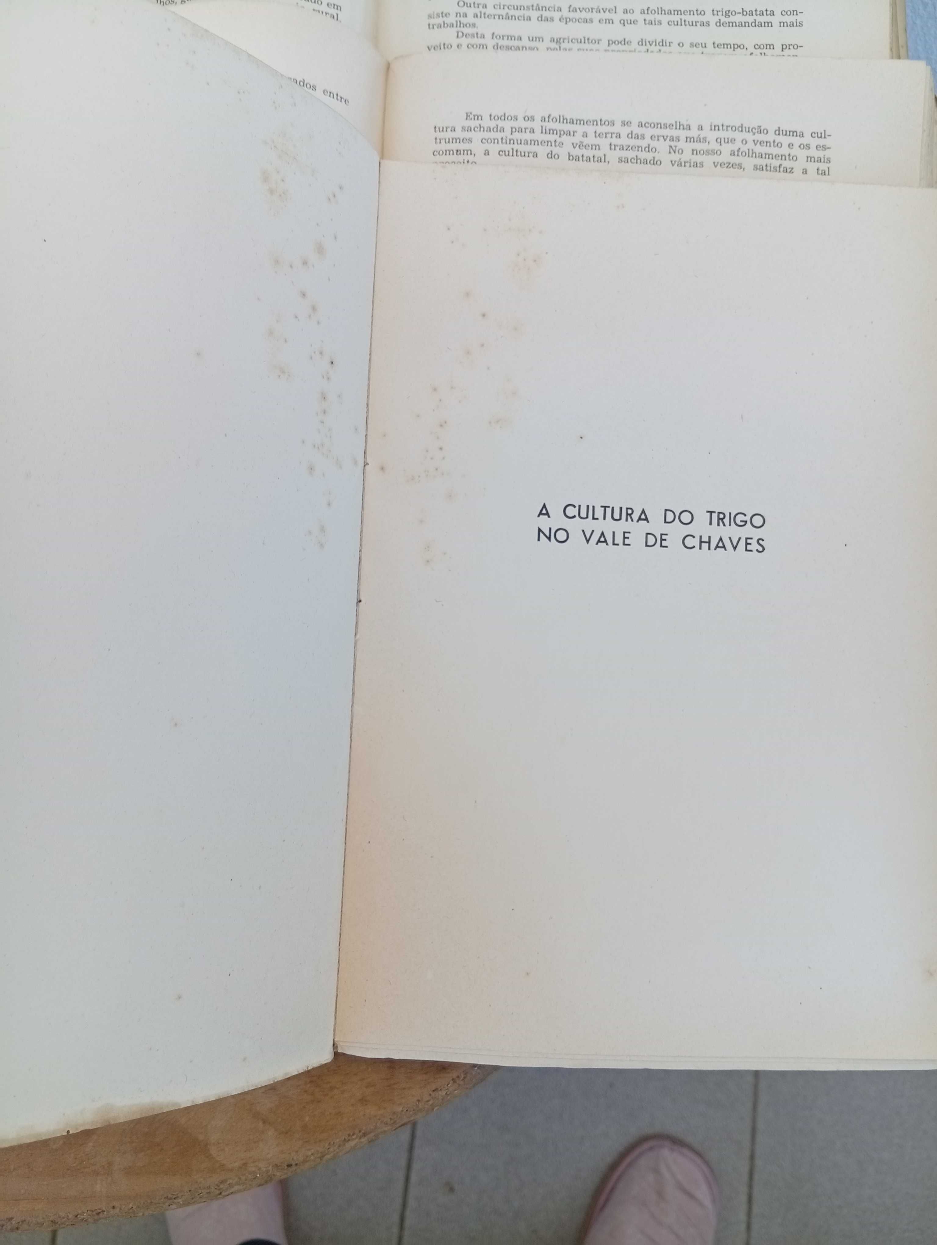 Oito Livros/monografias, vintage, 1944, de Júlio T. Montalvão