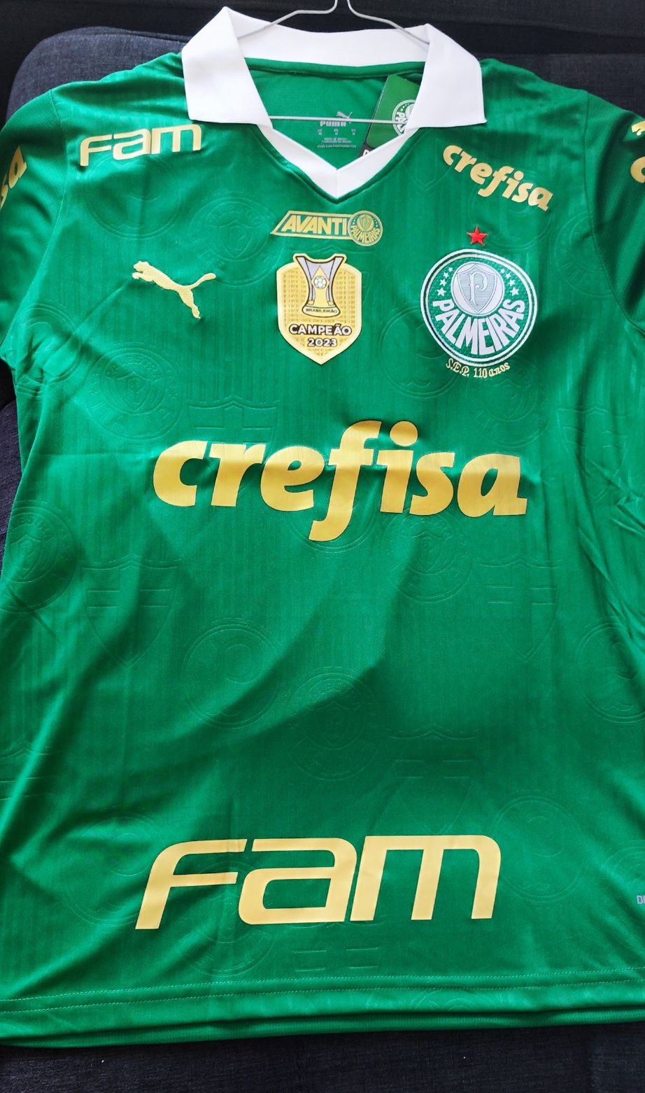 Camisola Palmeiras 24/25, tamanho M