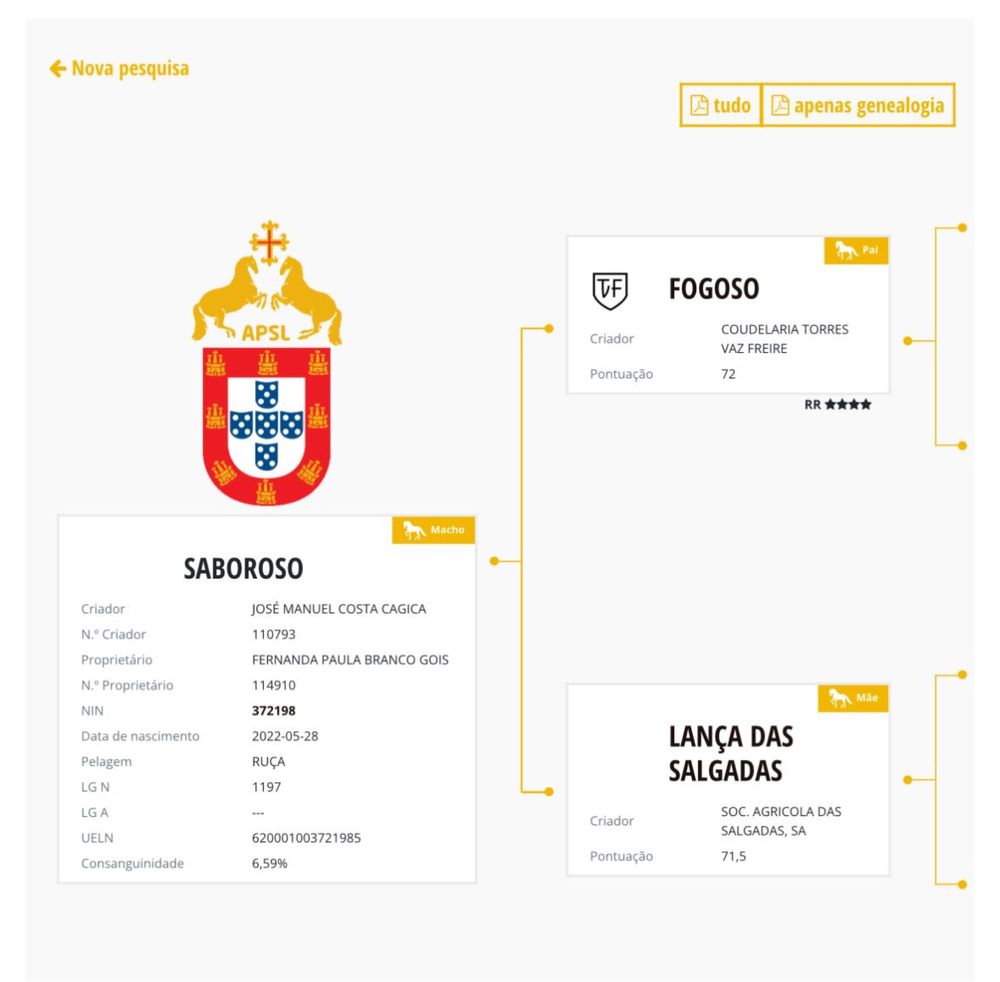 Poldro lusitano com 3 anos