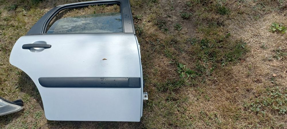 Drzwi, do Citroen C3