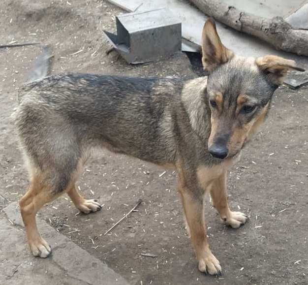 Боня в добрі руки