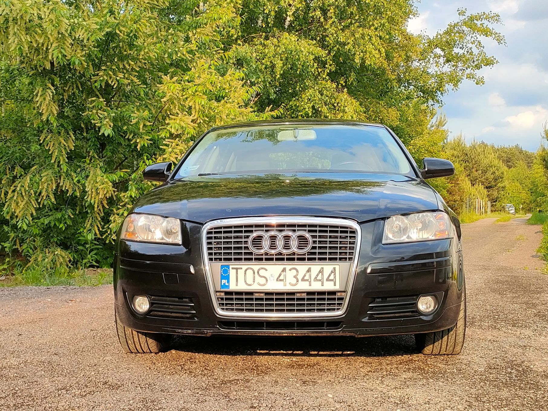 Audi A3 Audi A3 1.6 Benzyna+LPG 2005