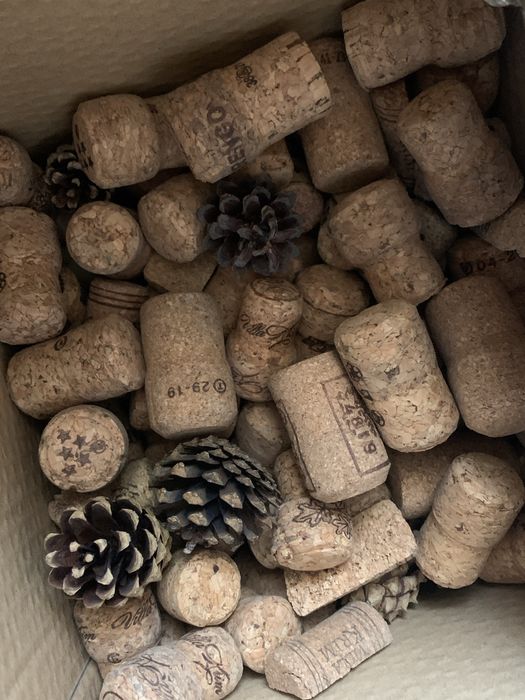 Корки від вина безкоштовно