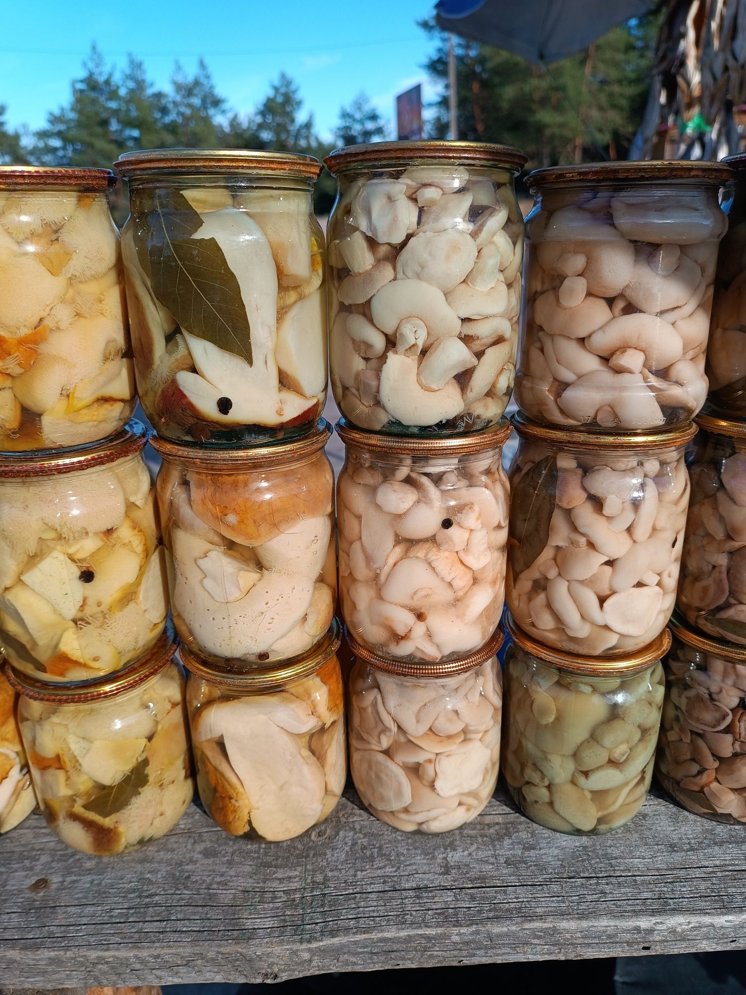 Мариновані гриби,варення з шишки