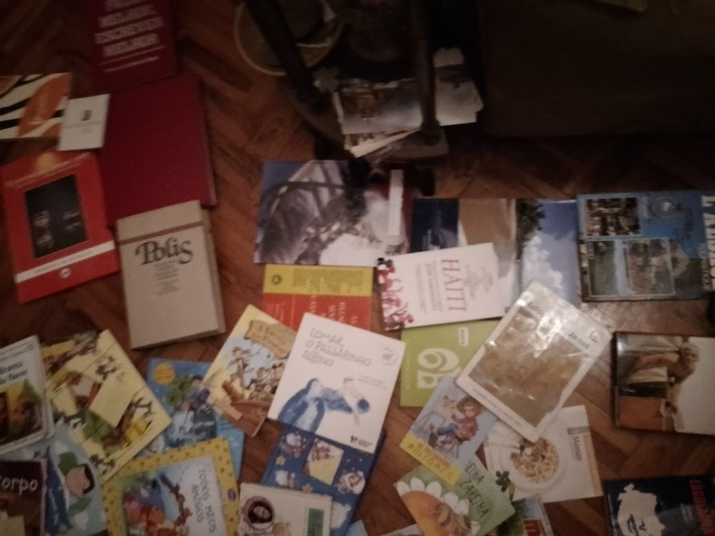 Grandes Saldos Saramago/outros raros/BD juvenil e muitos mais Desde 2E