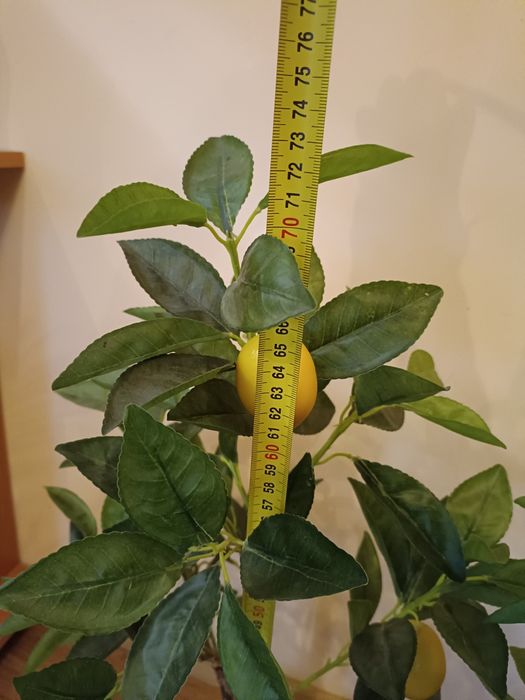 Drzewo cytrynowe cytrus sztuczne 70 cm