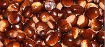 Castanhas da época.
